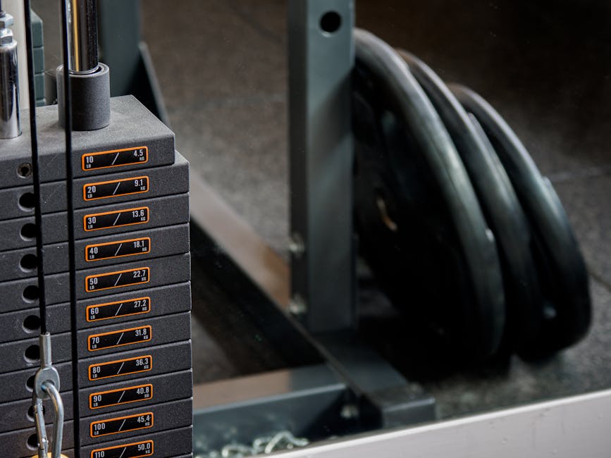 Best Squat Racks for Home Gyms: Reviewed and Tested