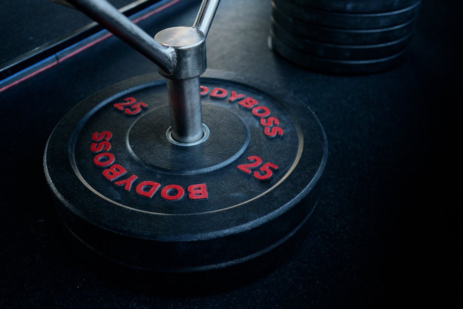 45 Pound Bumper Plates Buyer's Guide: Top Picks Reviewed