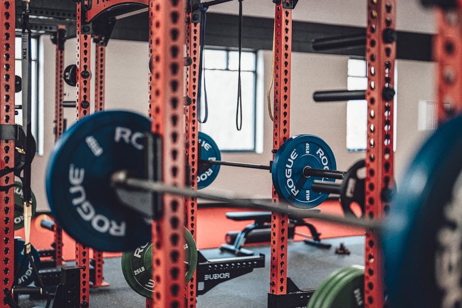 45 lb Bumper Plates Buyer's Guide: Quality Differences Explained