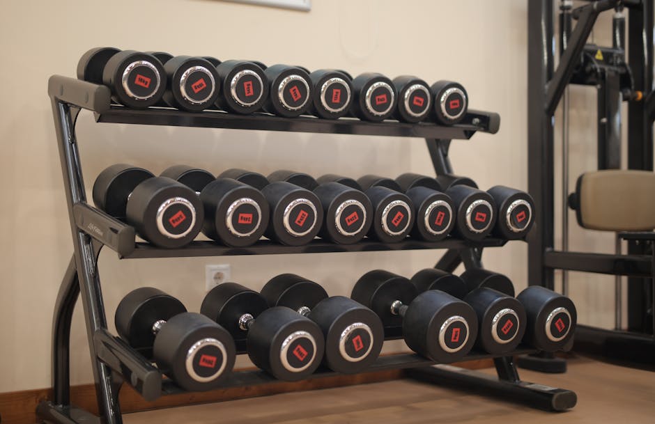 Adjustable Dumbbell Stand Buyer's Guide: Top Picks