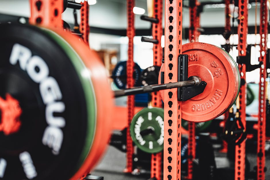 Half Rack Gym Buyer's Guide: What to Know Before Buying
