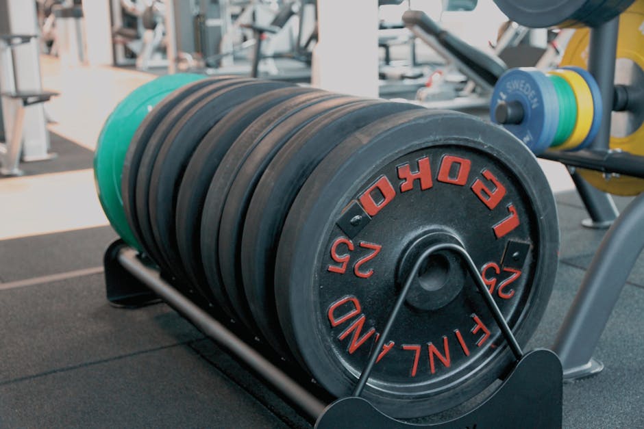 Barbell Rack with Barbells: Storage Solutions Reviewed