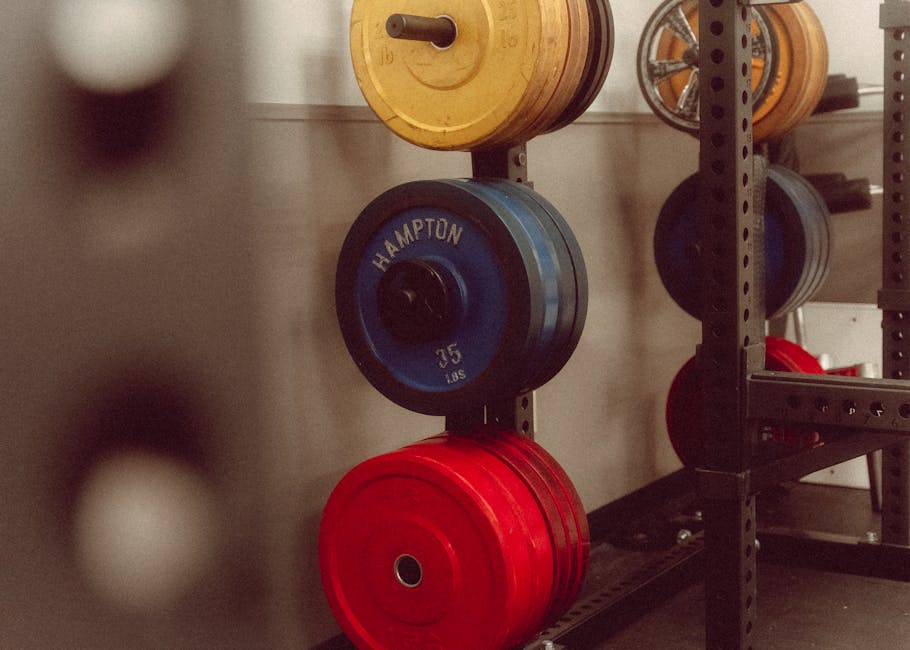 Weight Plate Holder Buyer's Guide: Storage Solutions Tested